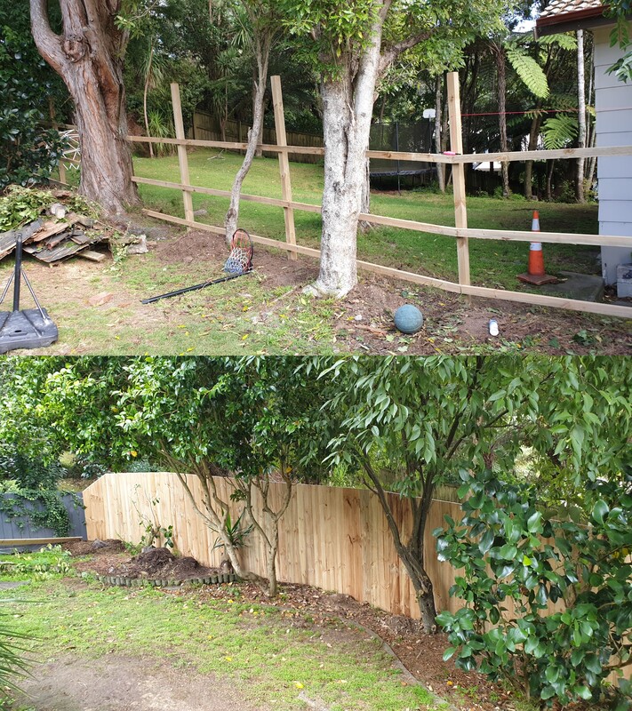 Fence - Before & After